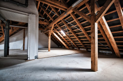 Pose de charpente en bois à Châtellerault